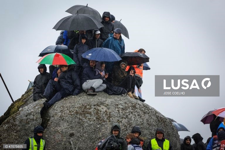 Thierry Neuville vence o Rali de Portugal 2026