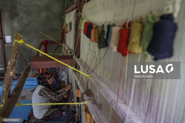 Índia: Artesãs preservam o artesanato secular da Caxemira