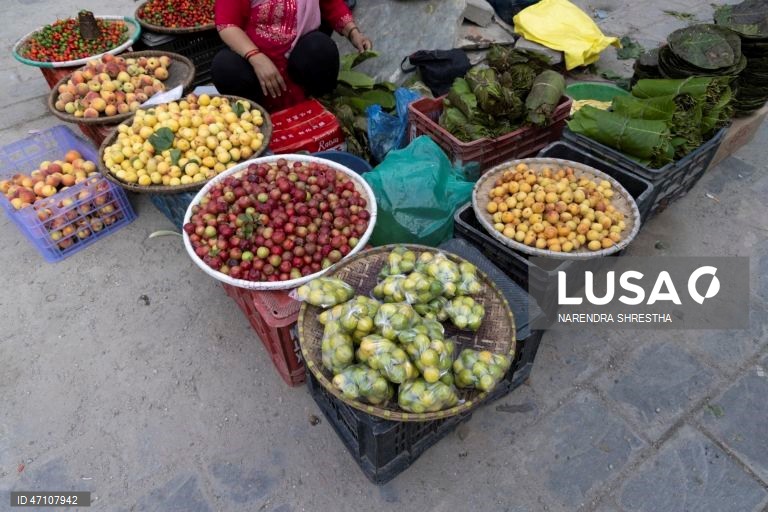 Nepal: Vida quotidiana em Catmandu