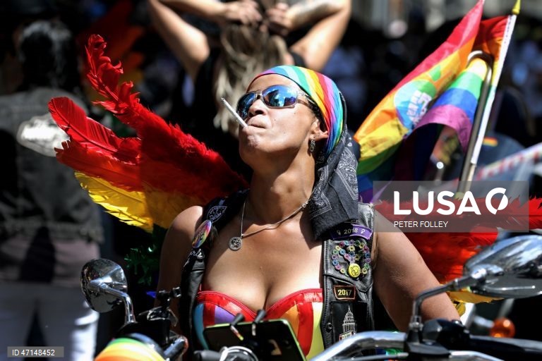 Dia Mundial da Diversidade Cultural para o Diálogo e o Desenvolvimento