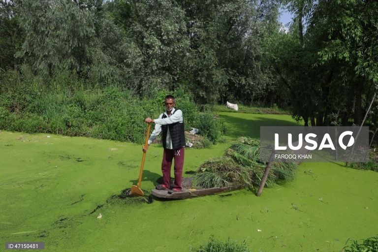 Índia: Vida quotidina no Lago Dal na Caxemira