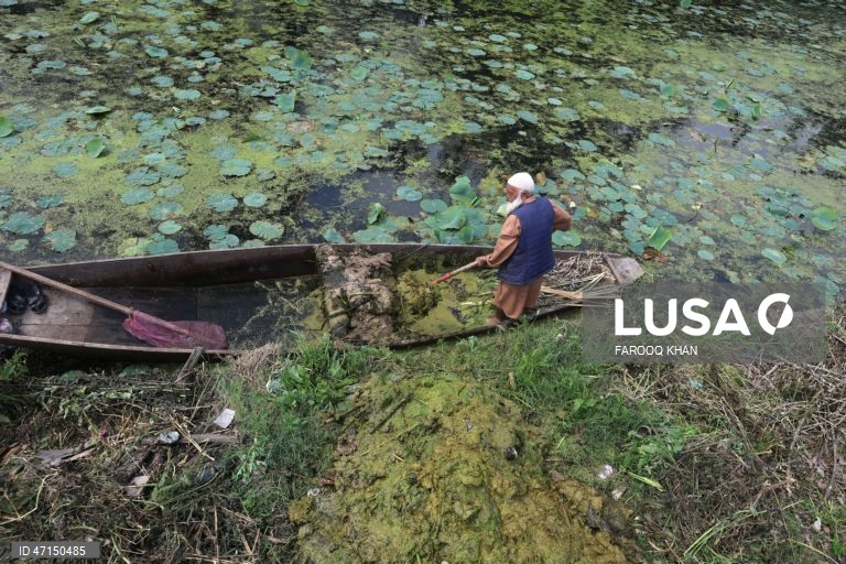 Índia: Vida quotidina no Lago Dal na Caxemira
