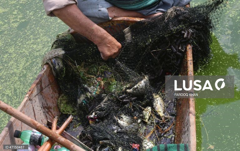 Índia: Vida quotidina no Lago Dal na Caxemira