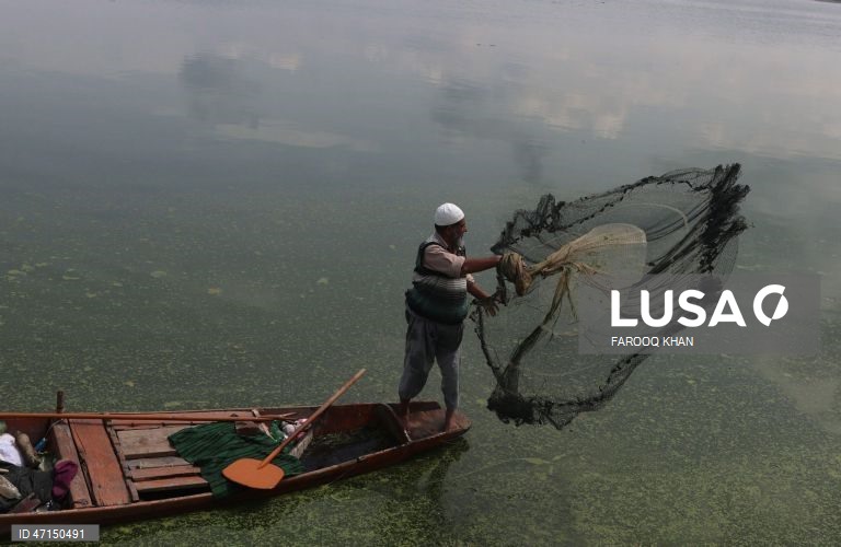 Índia: Vida quotidina no Lago Dal na Caxemira