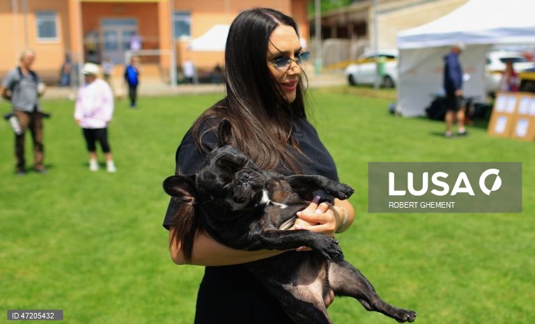 Competição na Exposição Canina de Bucareste 2026, na aldeia de Balotesti, perto de Bucareste, Roménia.