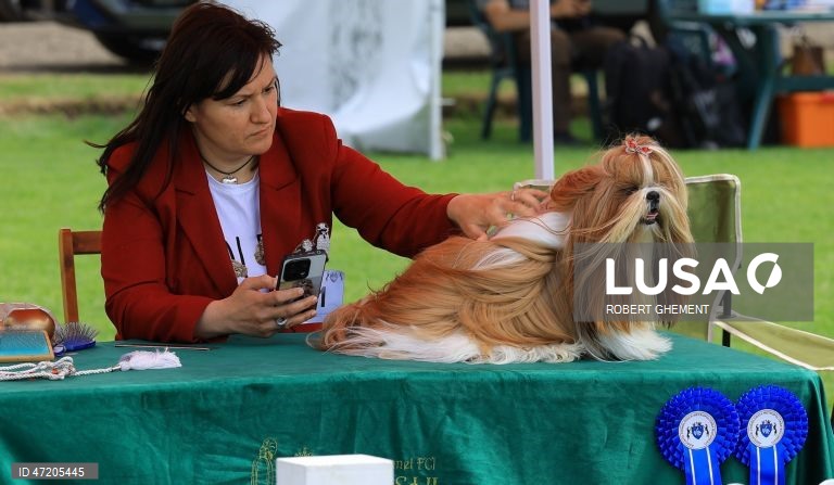 Competição na Exposição Canina de Bucareste 2026, na aldeia de Balotesti, perto de Bucareste, Roménia.