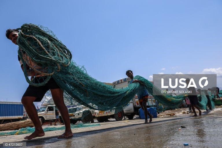 Mumbai: Fim da época de pesca