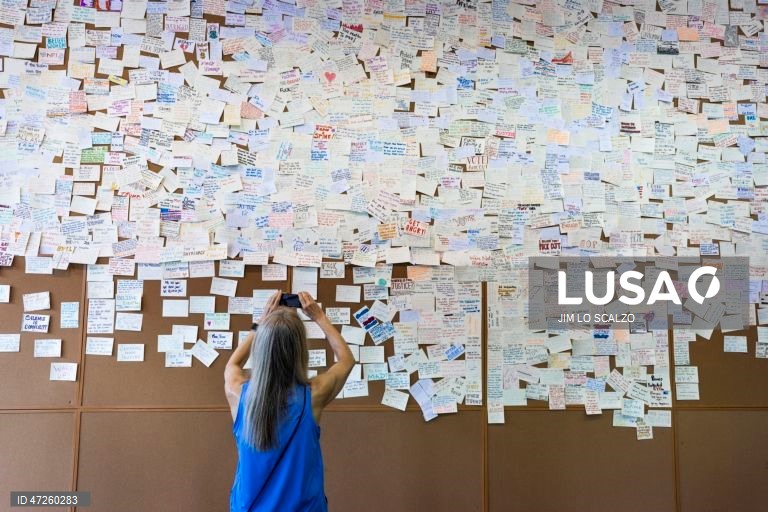 Exposição «Sala de Leitura Memorial Donald J. Trump e Jeffrey Epstein» em Washington, DC, EUA. A exposição itinerante está aberta em Washington de 9 a 12 de junho. 