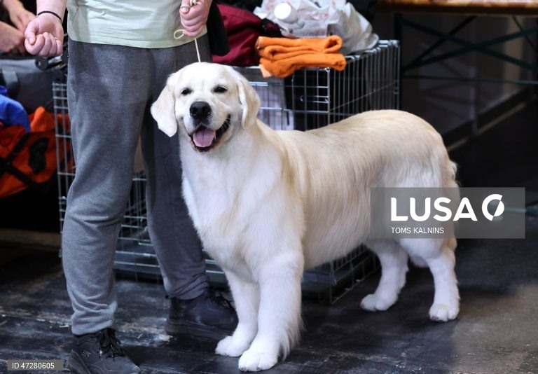 Letónia: Salão Internacional do cão e do gato 2026 em Riga