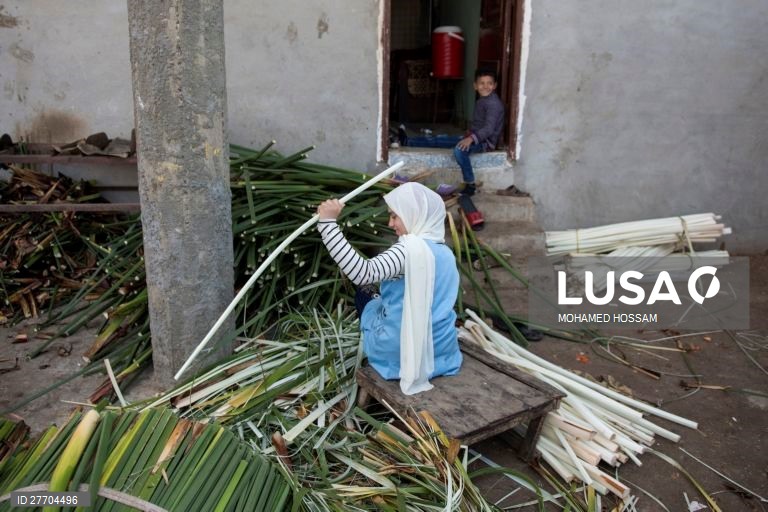 Egito: Produção de papel de papiro