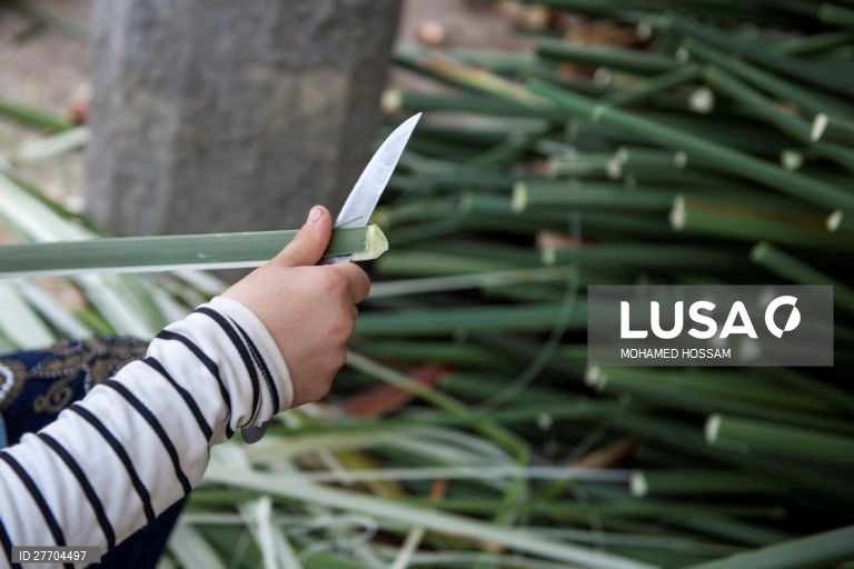 Egito: Produção de papel de papiro