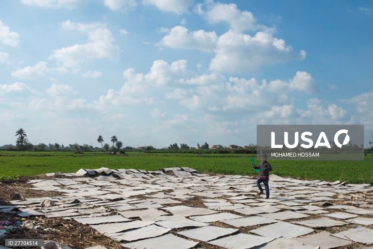 Egito: Produção de papel de papiro