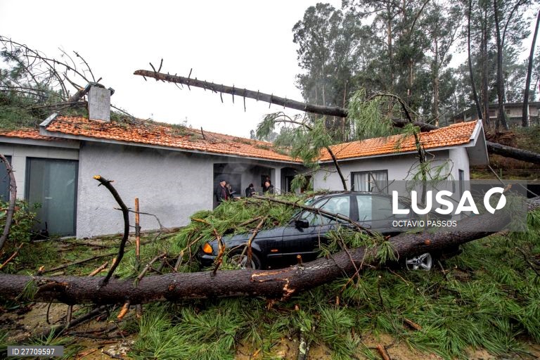 A depressão "Elsa" causou estragos numa habitação familiar e destruiu dois automóveis estacionados na mesma casa, em Santo Tirso,19 de dezembro de 2019. OCTAVIO PASSOS / LUSA