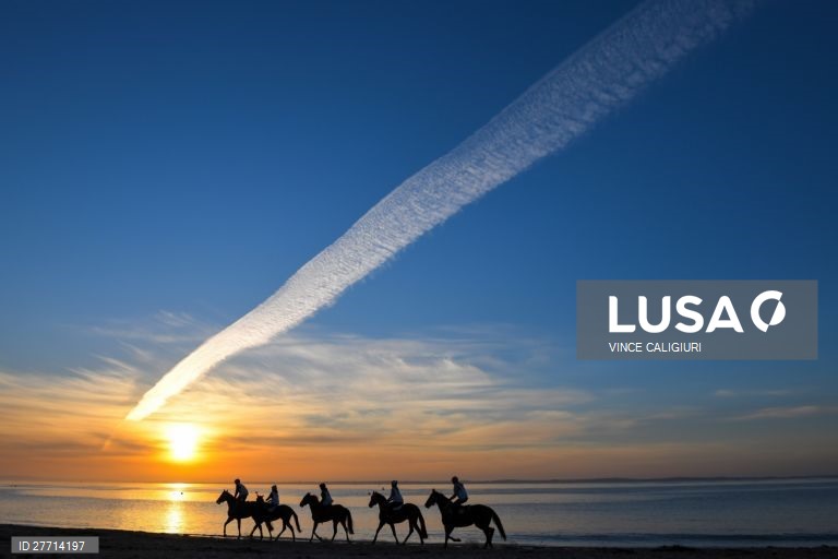 Passeio a cavalo na praia de Balnarring, Austrália
