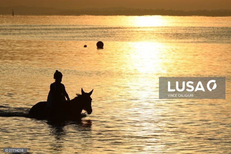 Passeio a cavalo na praia de Balnarring, Austrália