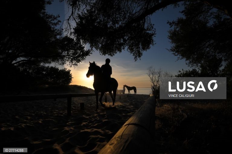 Passeio a cavalo na praia de Balnarring, Austrália