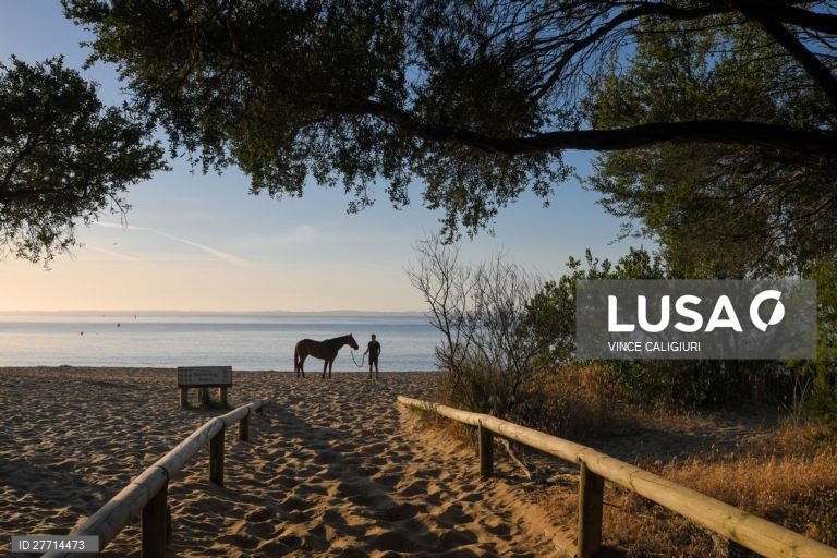 Passeio a cavalo na praia de Balnarring, Austrália