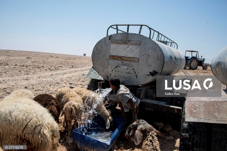 Quotidiano na vida dos Beduínos