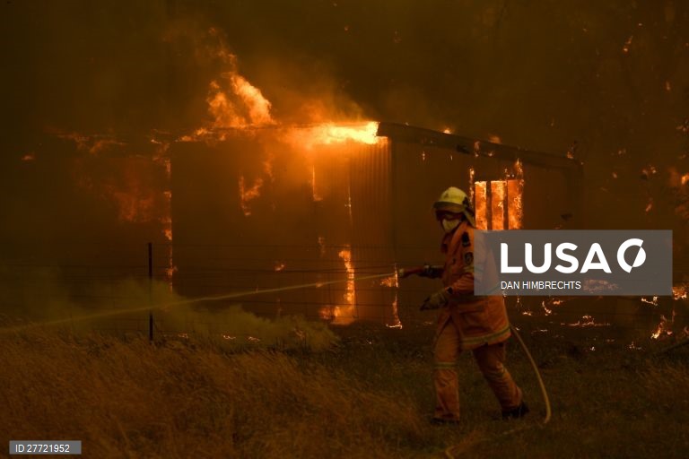 Os incêndios florestais continuam ativos na Austrália, com as temperaturas acima dos 40 graus.