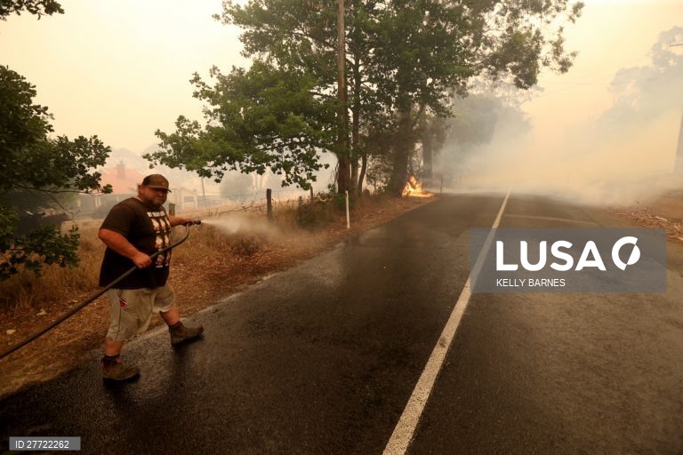 Os incêndios florestais continuam ativos na Austrália, com as temperaturas acima dos 40 graus.