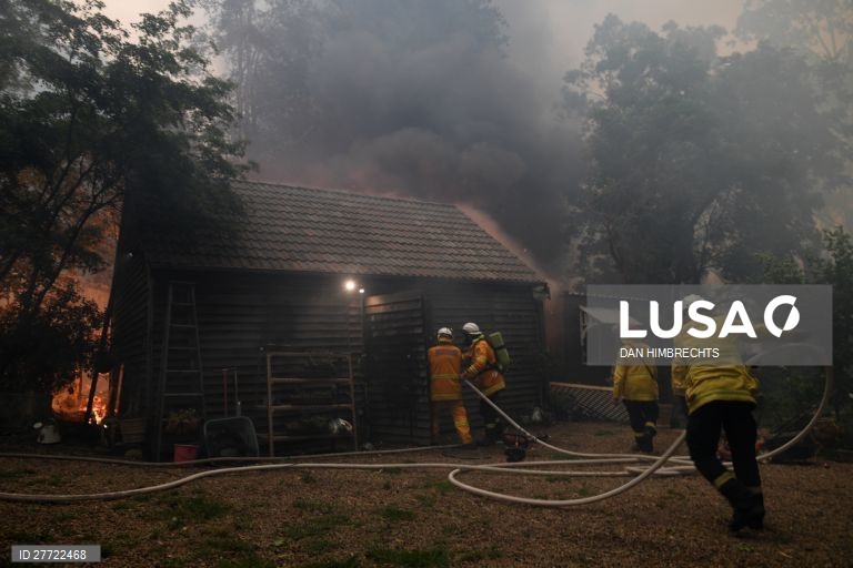 Os incêndios florestais continuam ativos na Austrália, com as temperaturas acima dos 40 graus.