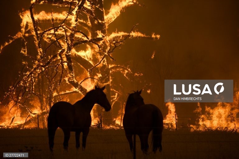 Os incêndios florestais continuam ativos na Austrália, com as temperaturas acima dos 40 graus.