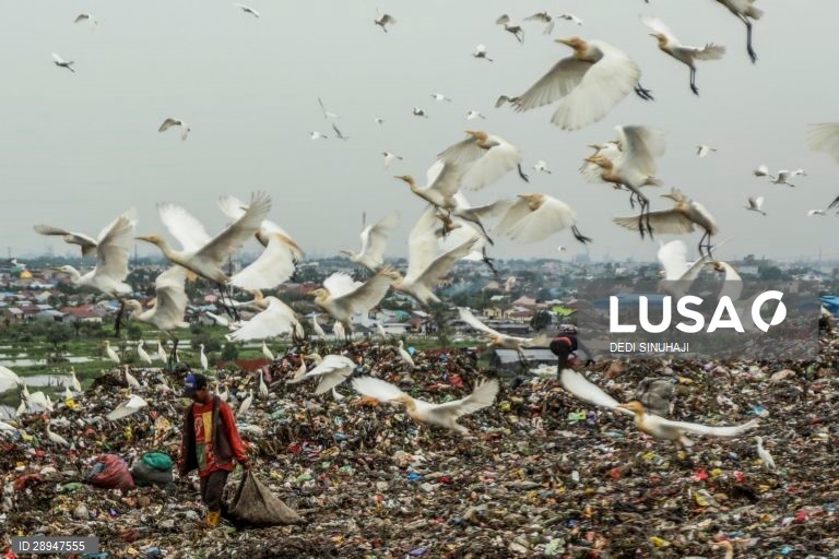 Dia Mundia do Ambiente