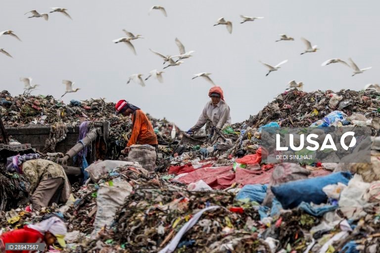 Dia Mundia do Ambiente