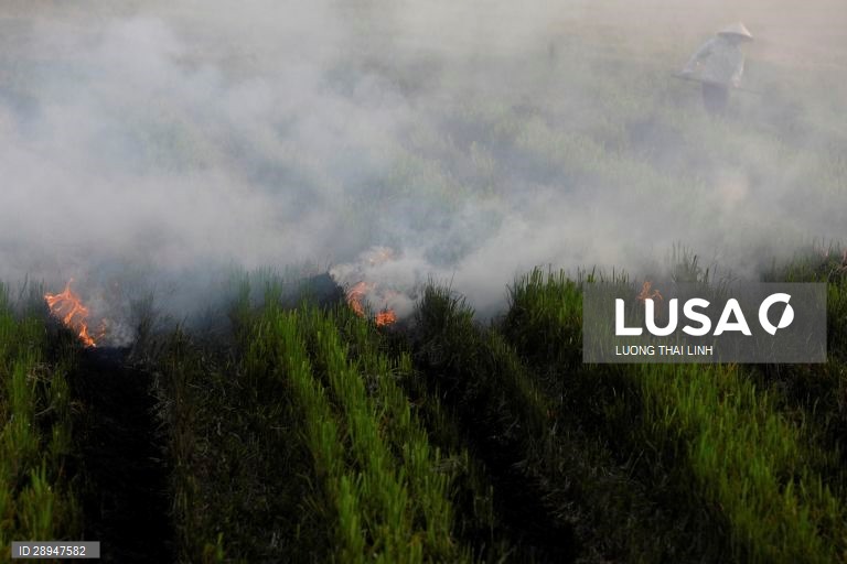 Dia Mundia do Ambiente