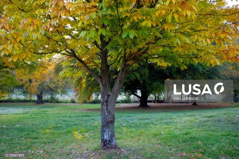 Dia Mundia do Ambiente