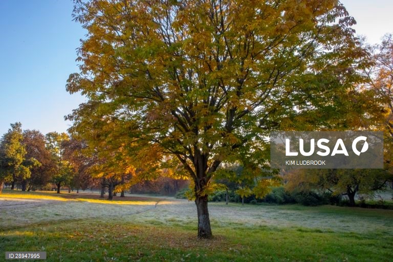 Dia Mundia do Ambiente