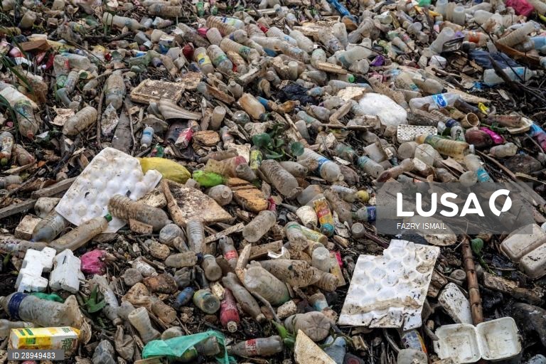 Dia Mundia do Ambiente