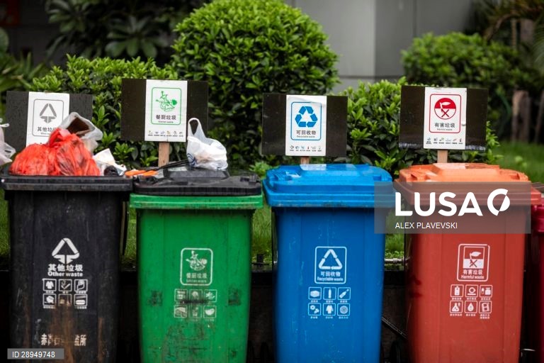 Dia Mundia do Ambiente