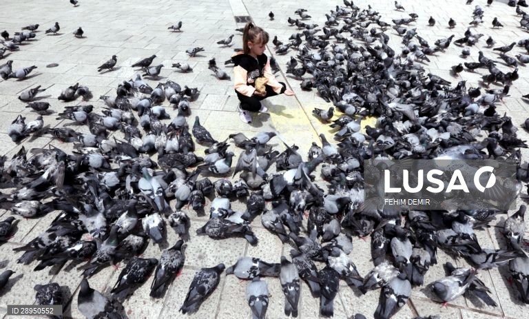 Dia Mundia do Ambiente