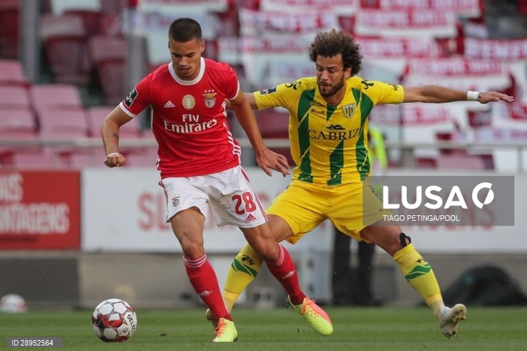 Futebol: Benfica vs Tondela em Lisboa