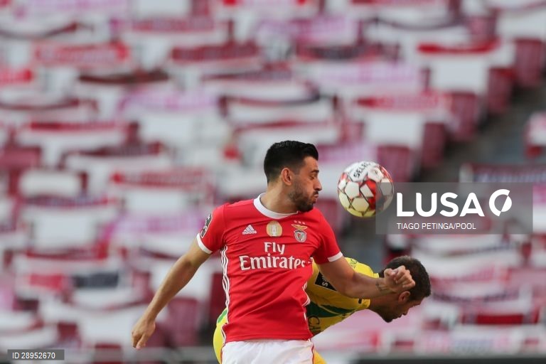 Futebol: Benfica vs Tondela em Lisboa