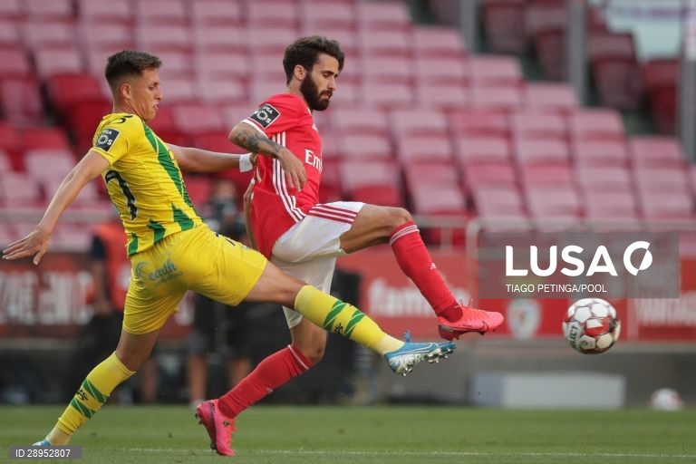 Futebol: Benfica vs Tondela em Lisboa