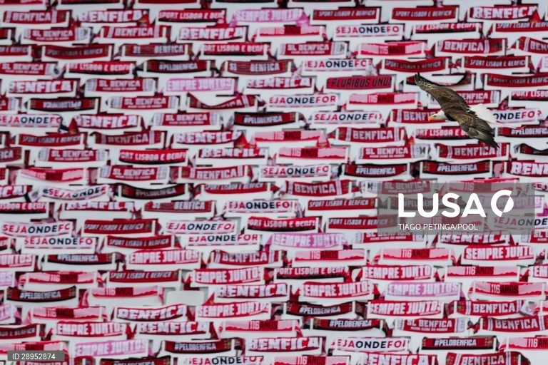 Futebol: Benfica vs Tondela em Lisboa