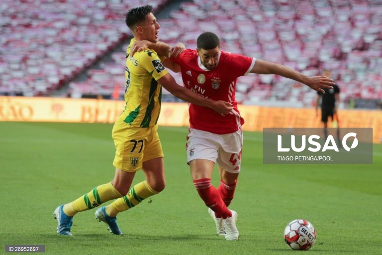 Futebol: Benfica vs Tondela em Lisboa