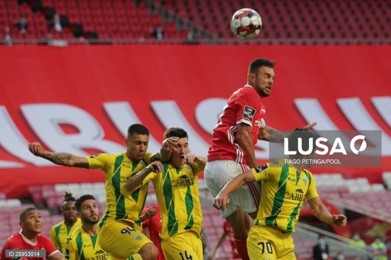 Futebol: Benfica vs Tondela em Lisboa