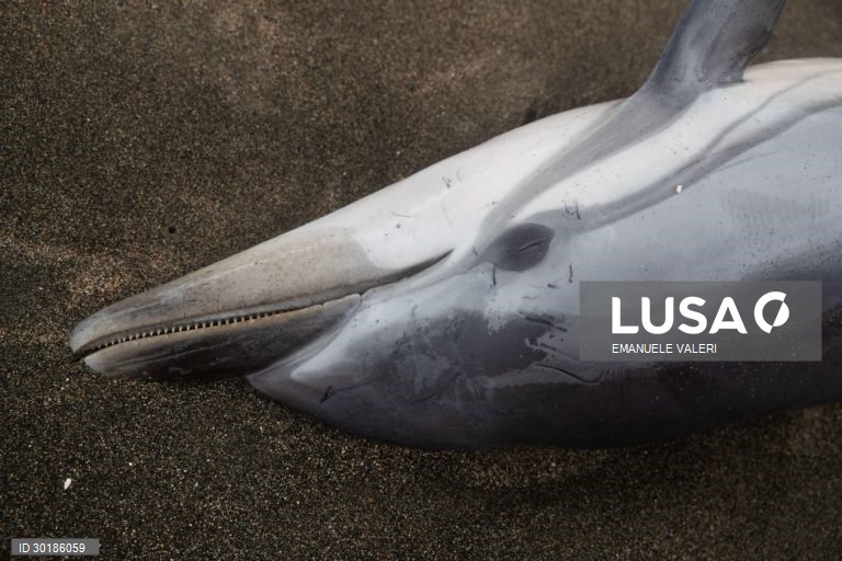 Mau tempo em Itália