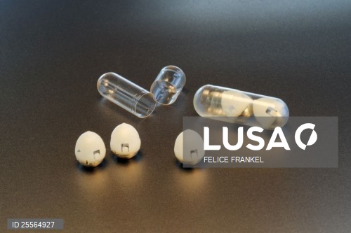 Há escolas públicas a recusarem alunos com diabetes, denuncia federação