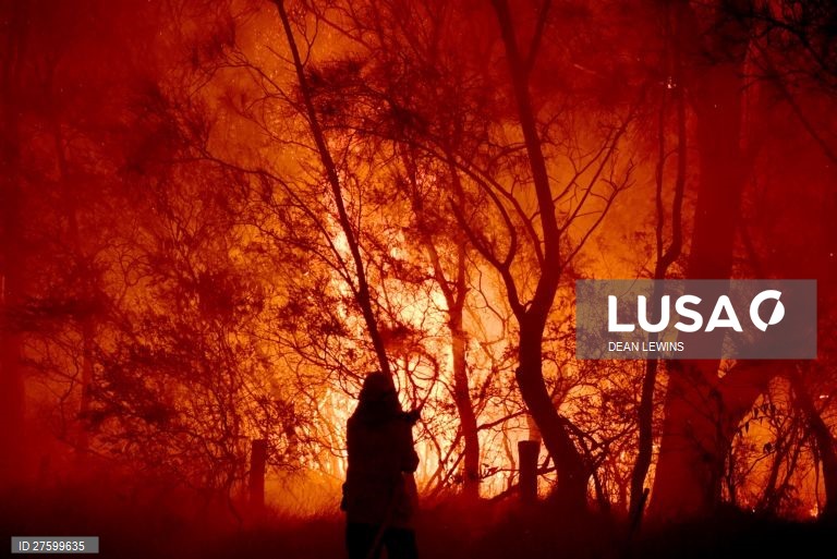 Incêndios florestais na Austrália