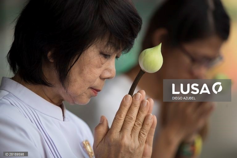 Centenas de monges budistas participaram nas comemorações do dia Makha Bucha, naTailândia.