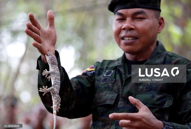 Militares americanos e tailandeses durante um exercício conjunto de sobrevivência na Tailândia.