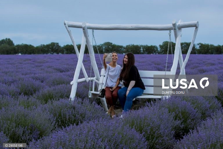 Moldávia: Campos de lavanda em Chisinau