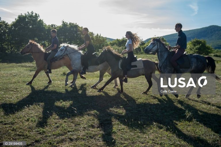 Criação de cavalos na Hungria