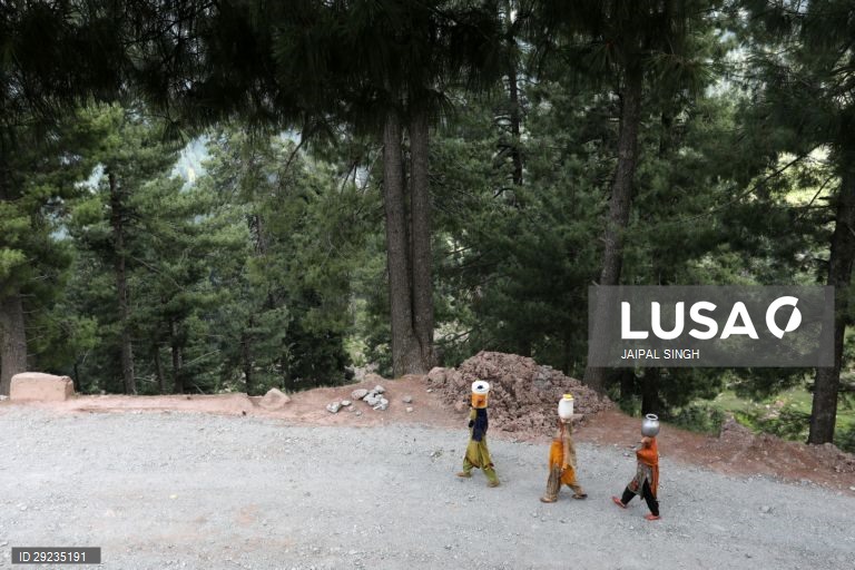 Índia: Bakarwal, tribo nómada da Caxemira