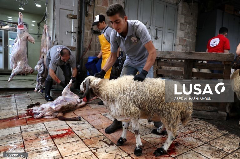 Islão: Celebrações da Festa do Sacrifício