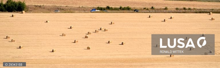 Fardos de palha em Waldboeckelheim